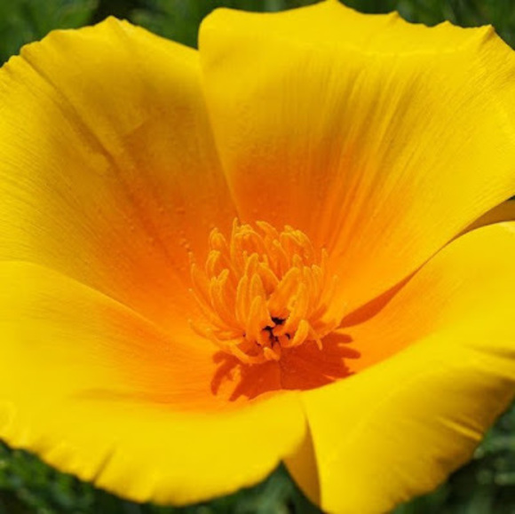 Meet your Posher, Faith! - Picture 1 of 3